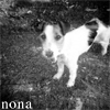 cb-nona